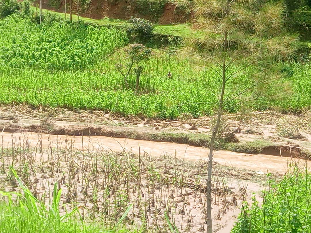 Guverineri <a href="/gatjmv/">Gatabazi Jean Marie Vianney</a> wa <a href="/RwandaNorth/">Northern Province/ Rwanda</a> ari kumwe na Guverineri Munyantwali Alphonse wa <a href="/RwandaWest/">Western Province I Rwanda</a>,
 barimo gusura ibyangijwe n'ibiza byatewe n'imvura idasanzwe yaguye mu ijoro rishyira kuri uyu wa kane mu Turere twa Gakenke <a href="/RwandaNorth/">Northern Province/ Rwanda</a> na Nyabihu <a href="/RwandaWest/">Western Province I Rwanda</a>. <a href="/RwandaGov/">Government of Rwanda</a>