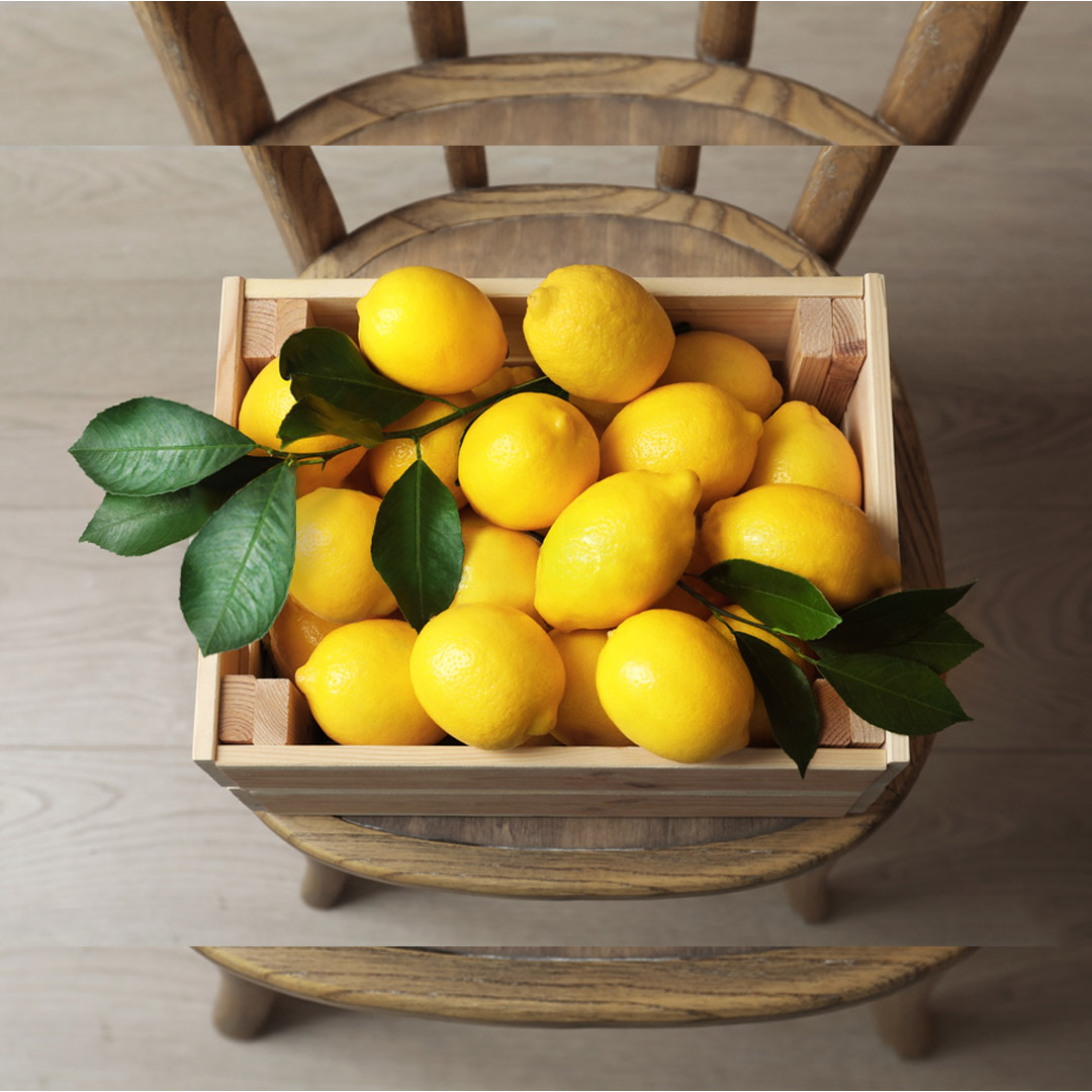 LemoneraOnline's tweet photo. Her yudumda doğallık, her yudumda mutluluk💯🍋

Tamamen doğal meyvelerden el değmeden sıkılarak üretilen ürünlerimizde hiçbir katkı maddesi, renklendirici, tatlandırıcı bulunmamaktadır.
#heryudumdamutluluk #lemonera #taze #doğal #limonata #evyapımılimonata #evdekal #hayatevesığar https://t.co/kL0CVFpiZn