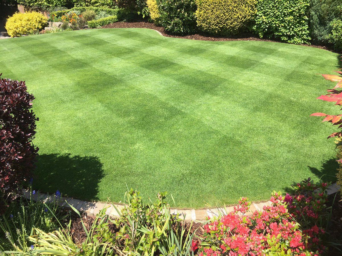 PukkaTurf's tweet photo. Double cut and High N primo application today to keep annual meadow grass in check and believe me theres plenty of it! https://t.co/5rMORmHMFs