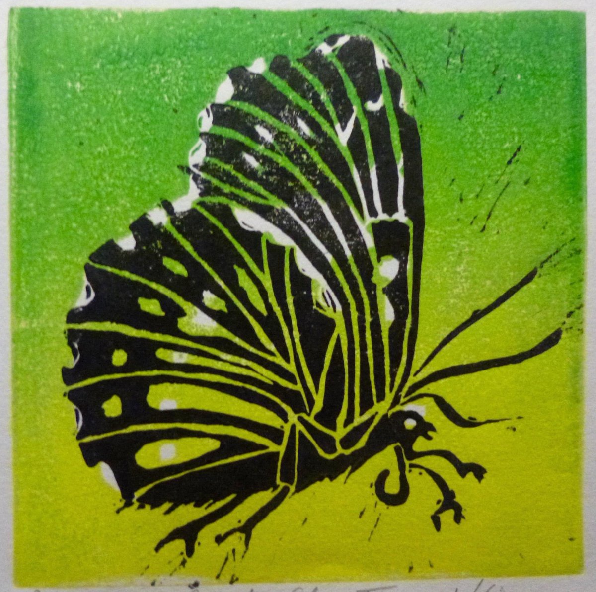 🎨 GOOOD AFTERNOOON🎨
☀️Another lovely sunny day!☀️
<< Today's Print of the Day >>
--- Butterfly II, By Pauline Lucas ---
reddotartconsultancy.co.uk/apps/webstore/…