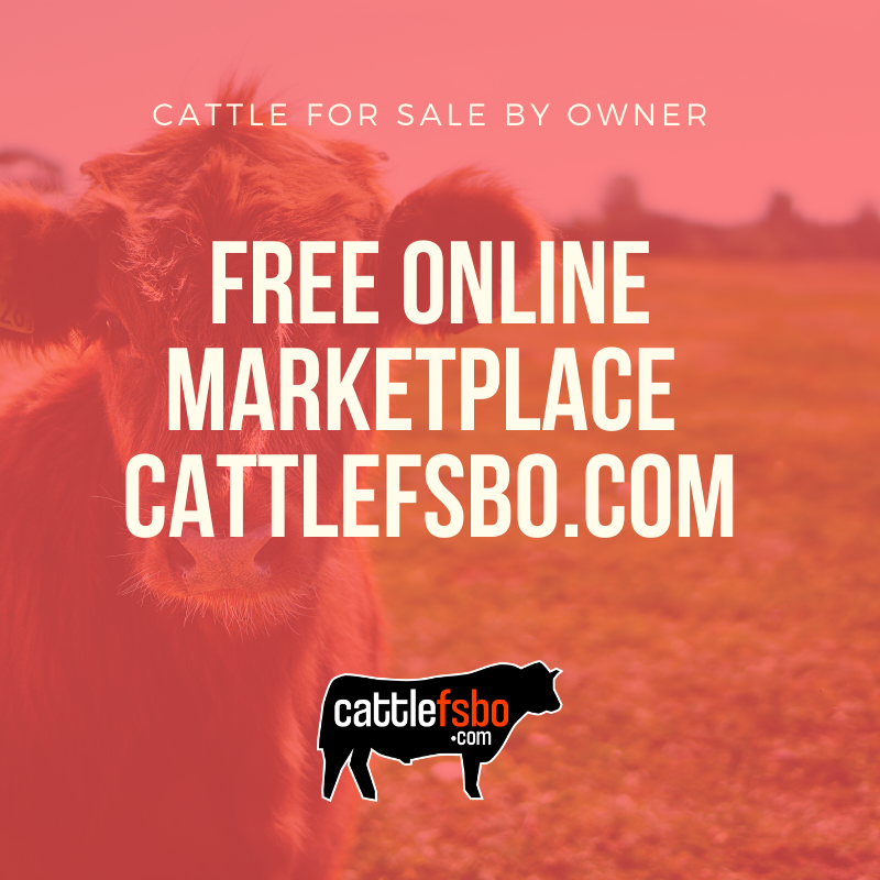 There are no commission fees for sellers or buyers. The free online marketplace for cattle for sale by owner. Check out CattleFSBO.com #CattleFSBO #CattleForSale #FarmToFarm #CattleMarketplace