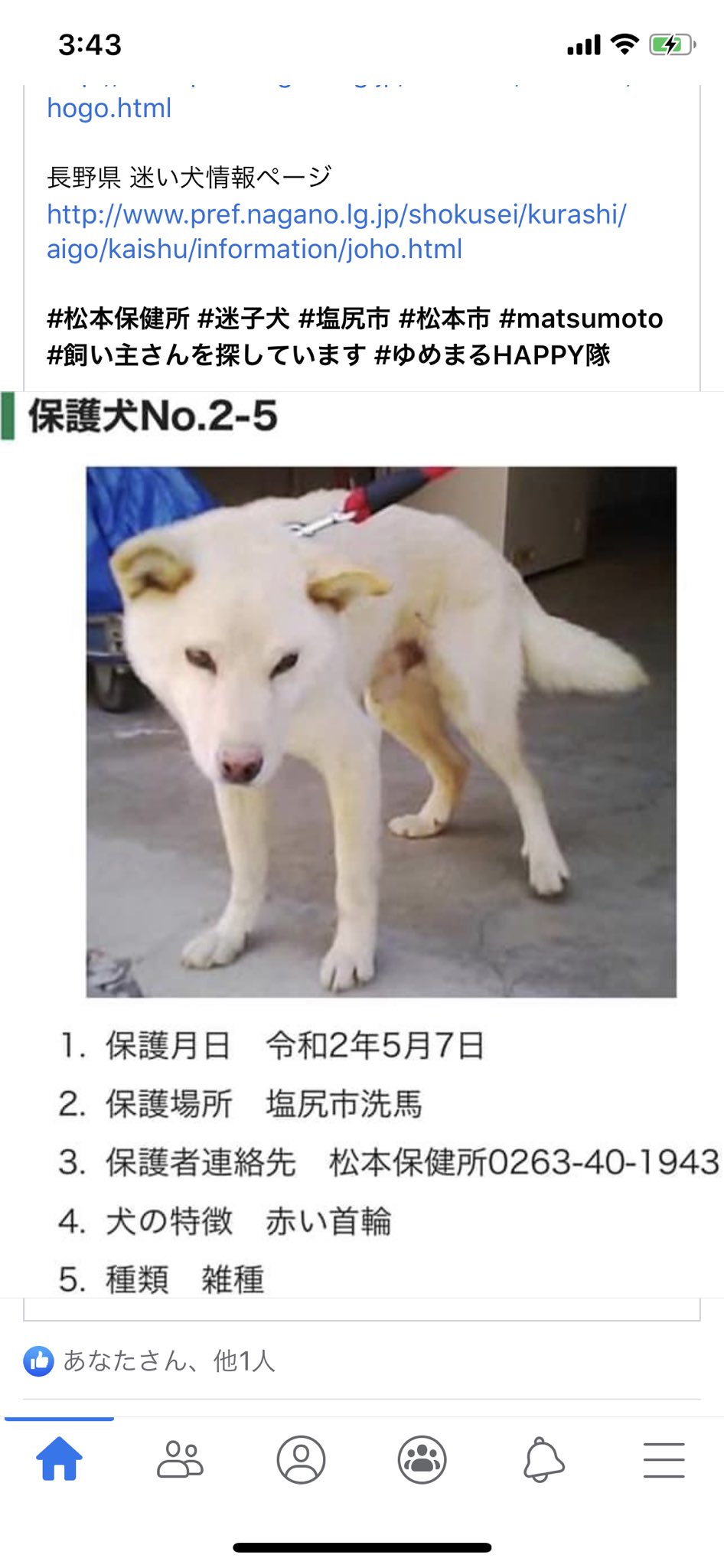 鬼豆子on Twitter Maigo06 T Co Evzteii1vt Twitter