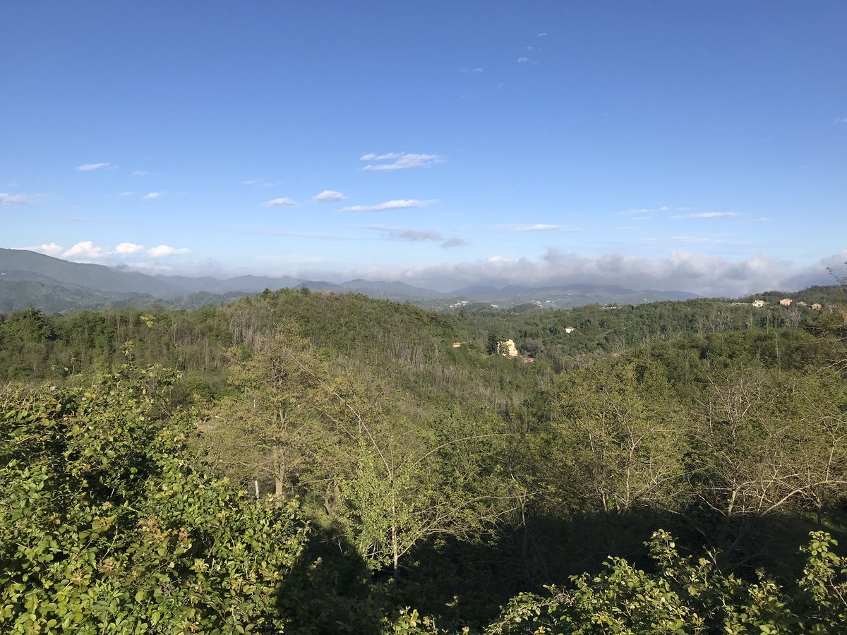 Pietrolley tweet media