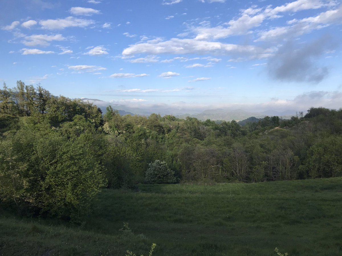 Pietrolley tweet media