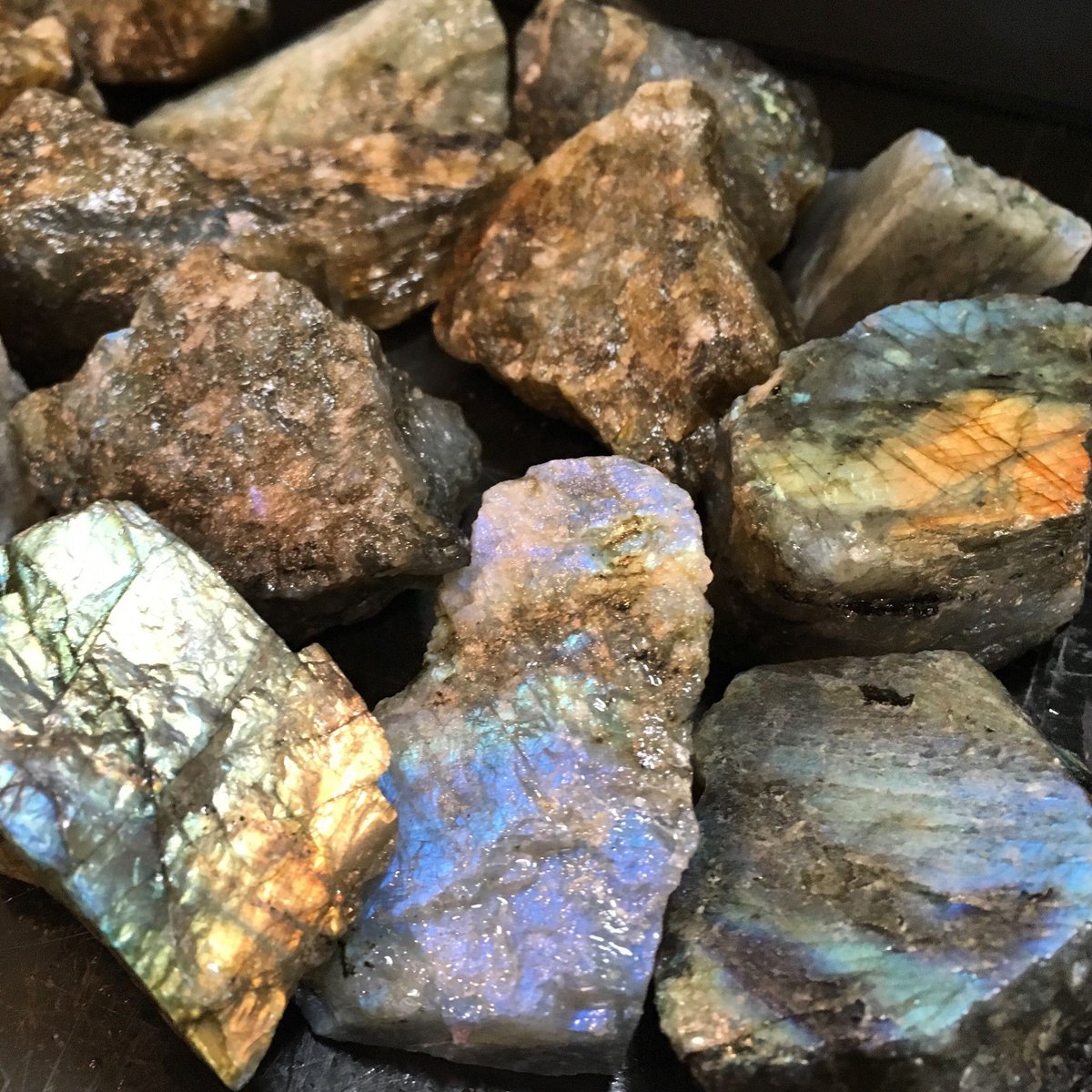 Tkj — labradorite(he is my 1st transmigrated writer, btw)