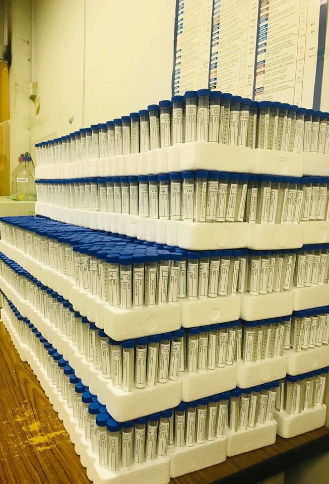 CGamaathige's tweet photo. There’s a shortage across the world of virus transport medium (VTM) .Team MLT’s at MRI produces thousands of VTM vials 🧪 for COVID-19 testing now! 
#COVID19 #COVID19LK https://t.co/QNXBvAhEHD