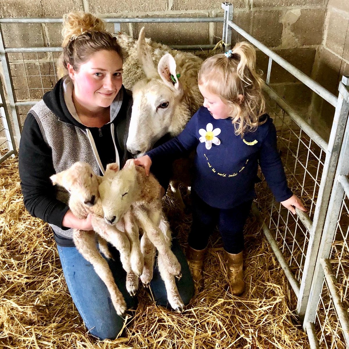 Caitlin86622282's tweet photo. Barley and Ethel 🥰 https://t.co/NVxf3Nm08H