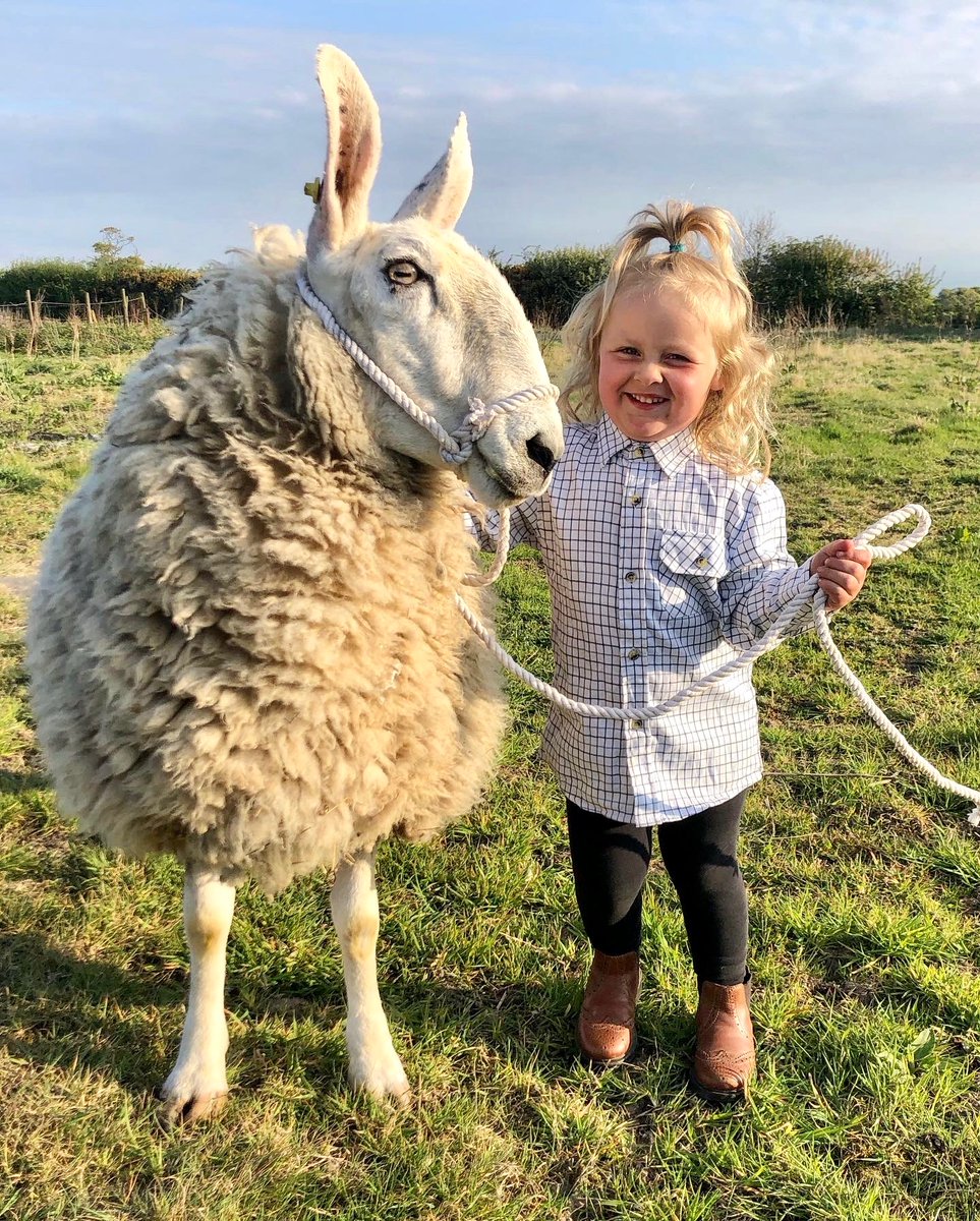 Caitlin86622282's tweet photo. Barley and Ethel 🥰 https://t.co/NVxf3Nm08H