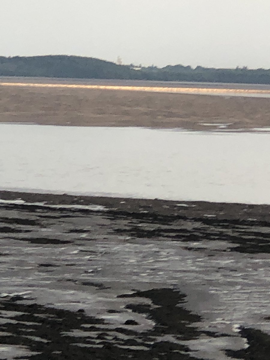 Steve Jones tweet media