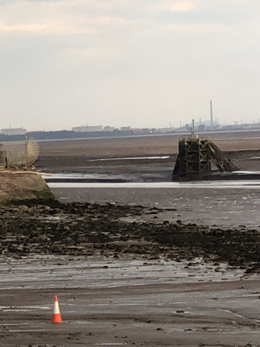 Steve Jones tweet media