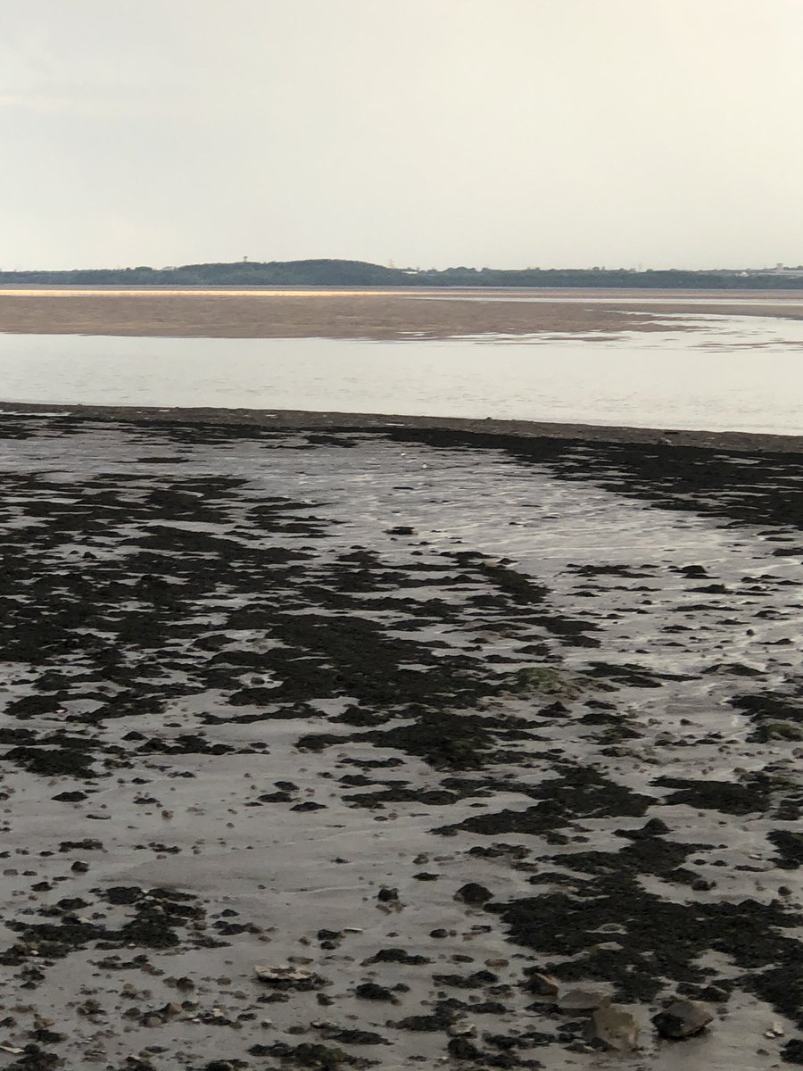 Steve Jones tweet media