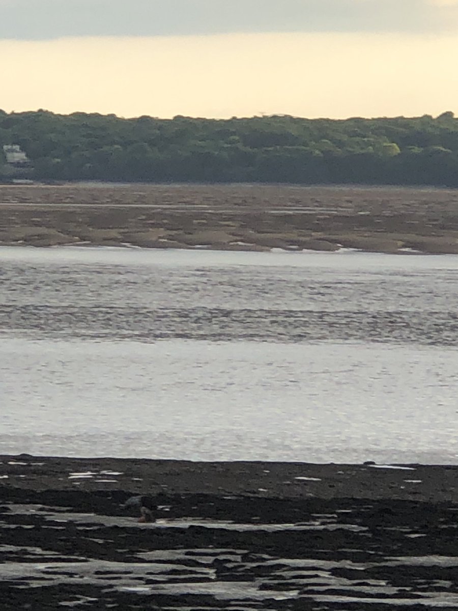 Steve Jones tweet media