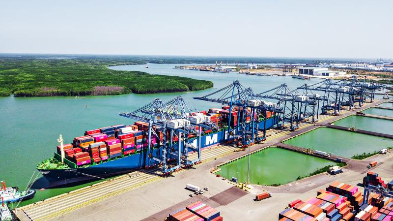 HMM America tweet media