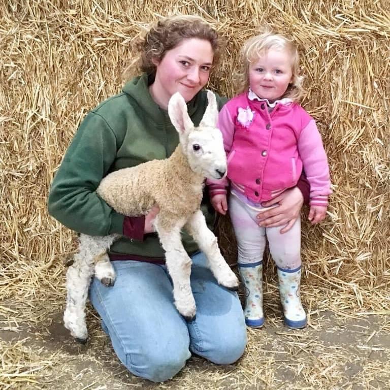Caitlin86622282's tweet photo. Barley and the Border Leicester’s 😍 https://t.co/ZASIenTVDO