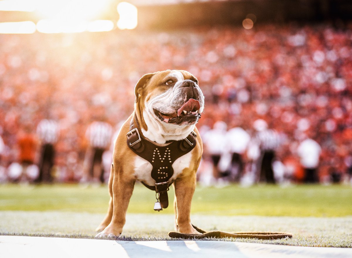 HailState's tweet photo. 𝐓𝐇𝐄 𝟐𝟎𝟏𝟗-𝟐𝟎 𝐏𝐇𝐎𝐓𝐎 𝐎𝐅 𝐓𝐇𝐄 𝐘𝐄𝐀𝐑

🥇 Good Boy @BullyXXI
 
#HailState🐶 https://t.co/UgRetCJqto