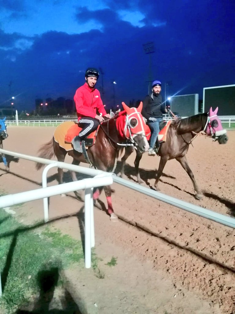 Yağmur Gözlü 🐎hazır. #AtyarışlarıbaşlasınTürkiyekazansı
