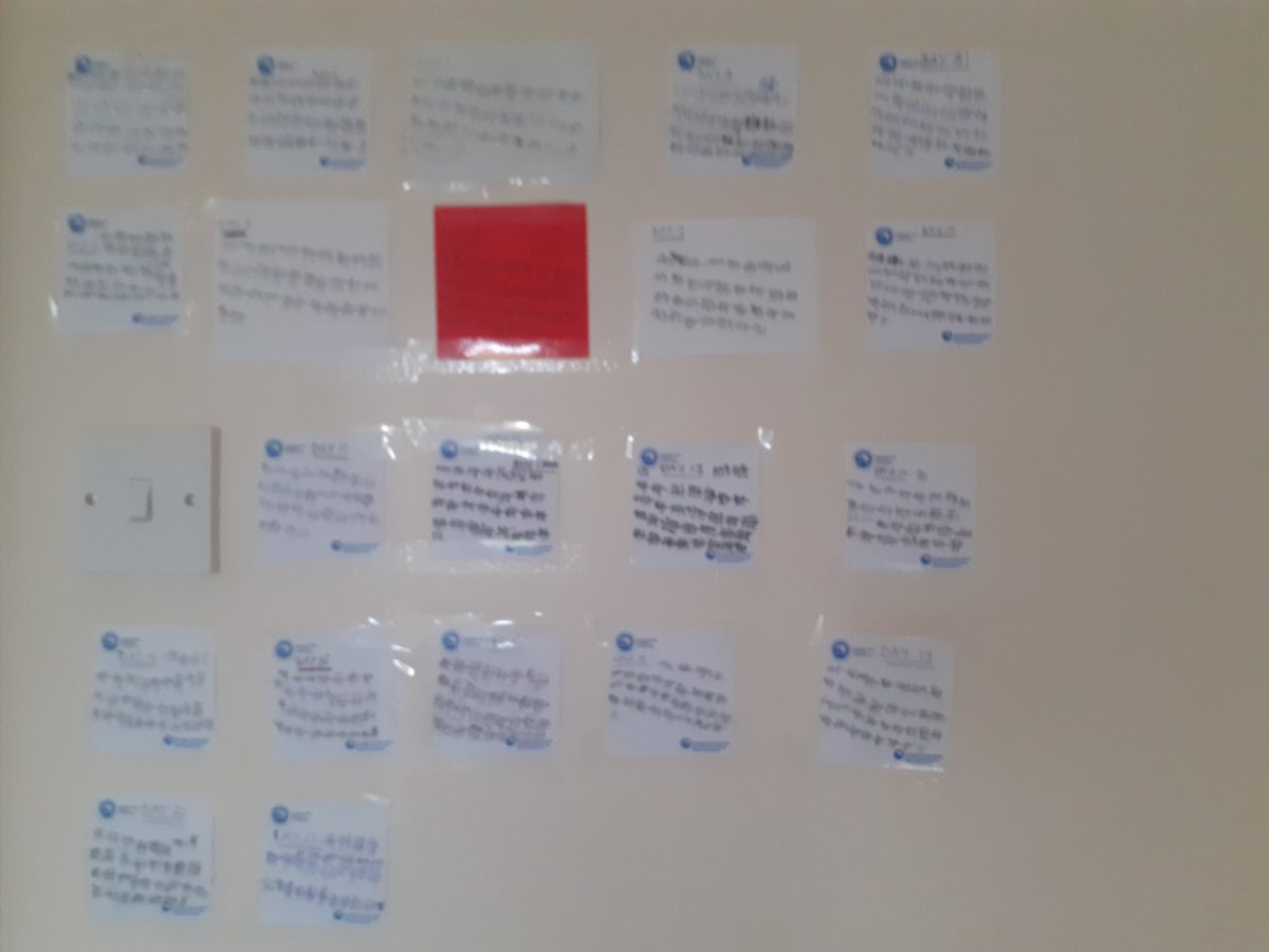 21 days. 8840 metres. Everest on my stairs is done.