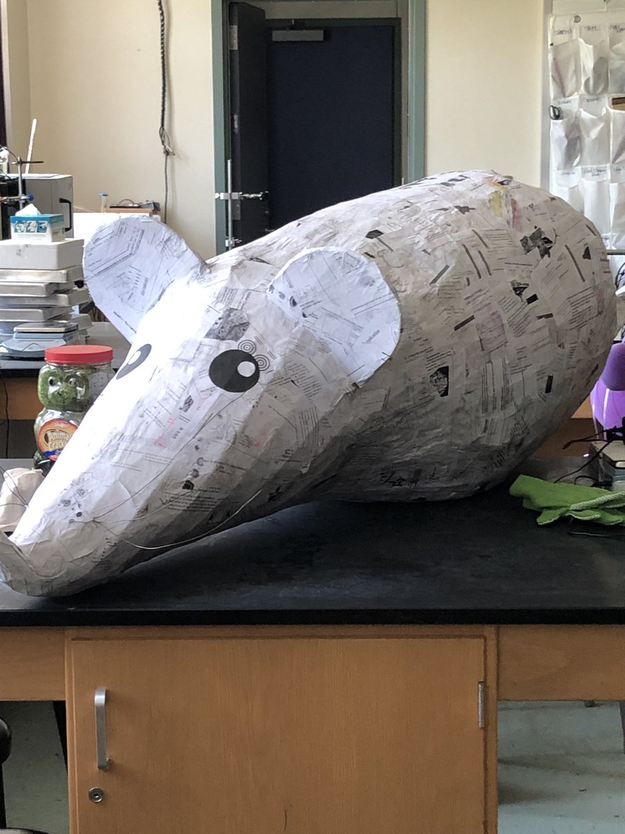 ms lentz is proud of you tweet media