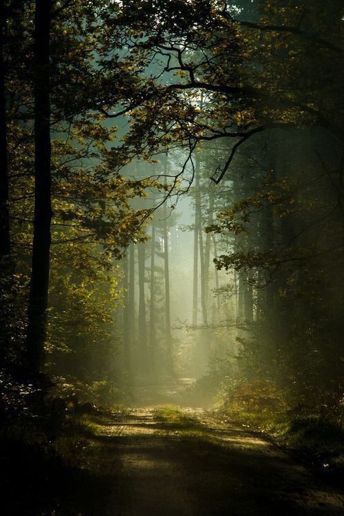 ValentiniLeon's tweet photo. Gedanken freien Lauf lassen... https://t.co/7ykdpJky8S