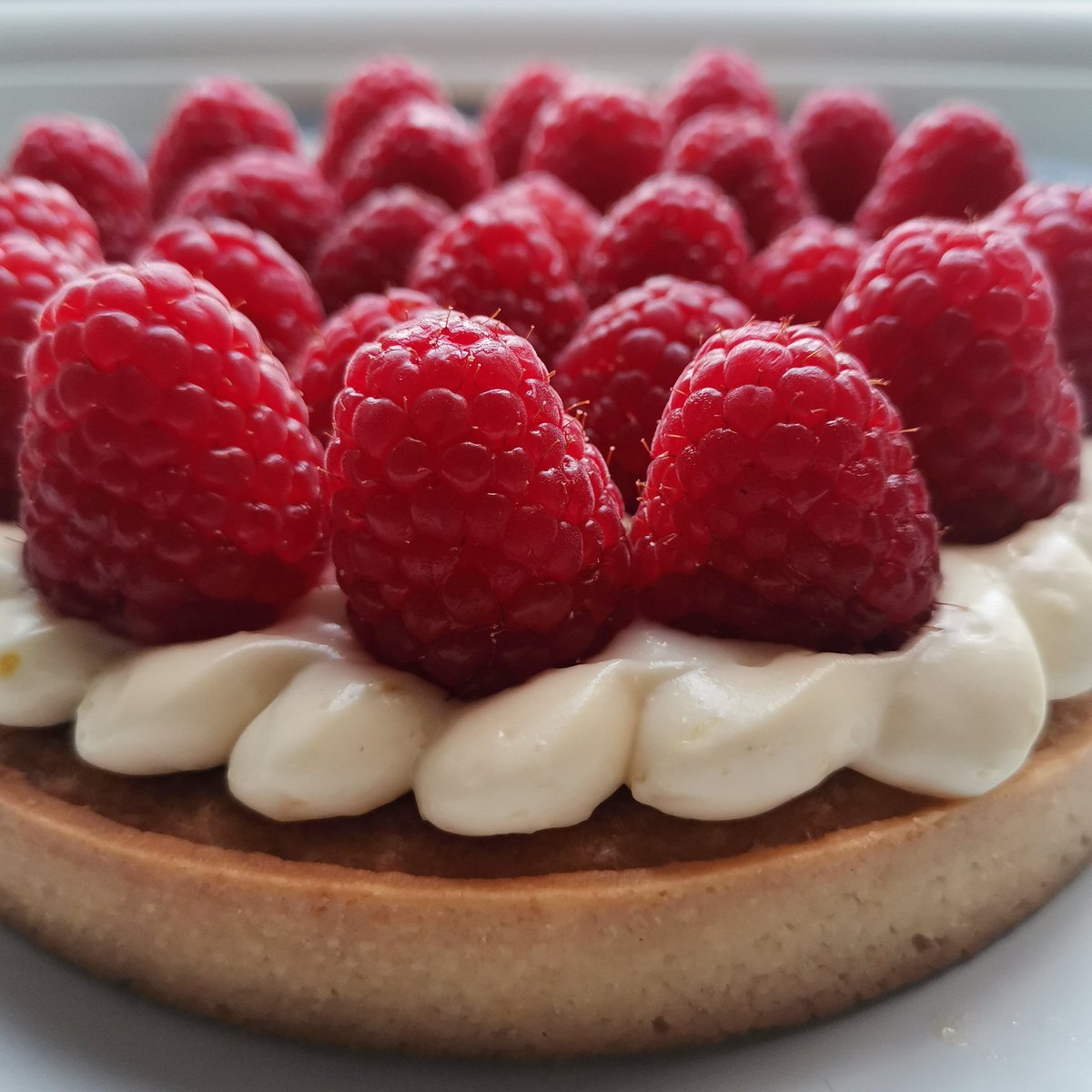 SummersAdam's tweet photo. Tarte Aux Framboises
#Classics
#PateSablee
#Frangipane
#DiplomatCrème
🌞❤️🎉🌹☀️ https://t.co/P4jBUxSBGn