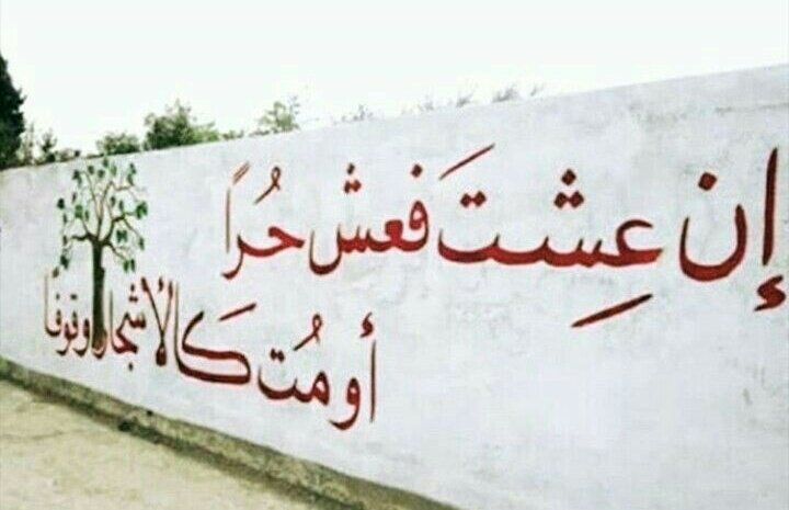 Filistinde bir duvar yazısı:

" Yaşayacaksan hür yaşa. Yahut ağaçlar gibi dimdik öl."