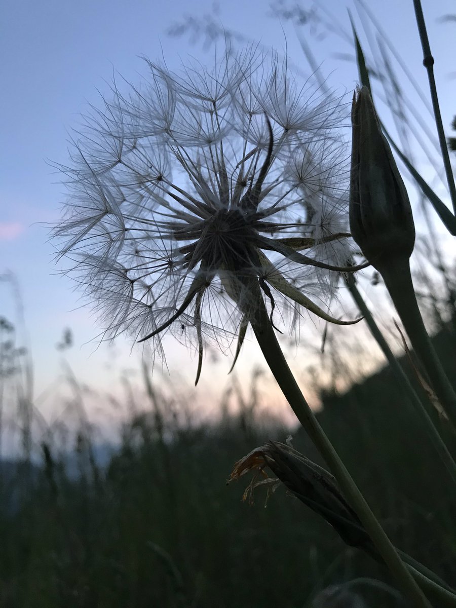 Pantouffle18's tweet photo. Abendstimmung 🌙 und ✨#Bettdeckenkuschelzeit ✨ https://t.co/DFndp83yM1