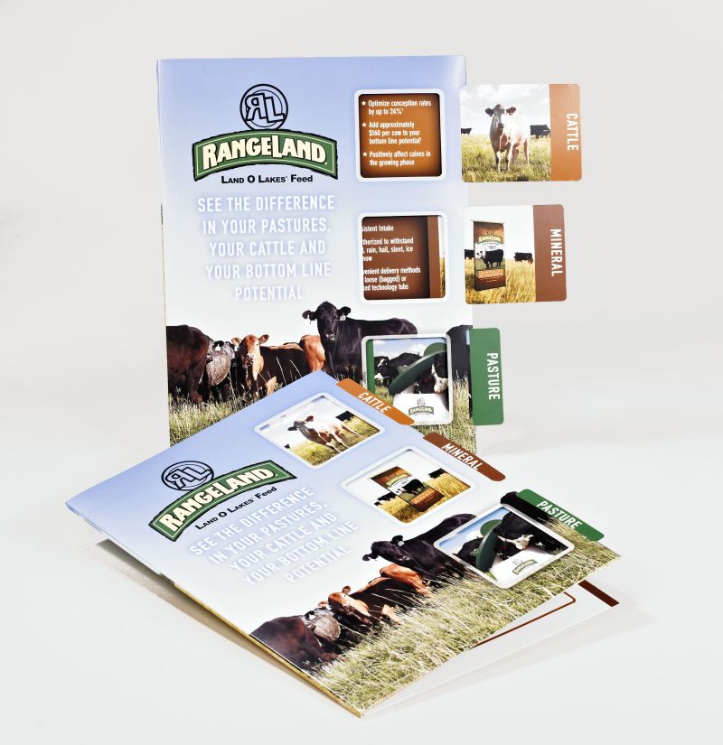 snellercreative's tweet photo. Custom Paperboard Promotional Packaging by Sneller #snellercreative #madeinusa #packaging #paperboard #paperboardpackaging #custompackaging #printing #folder #pocketfolder #collateral #presentation #presentationfolder #marketing #branding #promotion
https://t.co/cFeVns1bMk https://t.co/3dVnhfhHHV