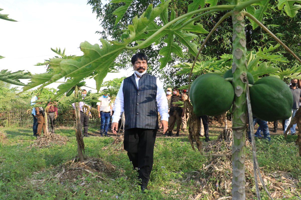 Visited the organic farm set up by Pabhoi Organic Growers' Cooperative Society at Mizikajan. The society is engaged in organic farming activities in the region. 

Met the progressive farmers of the society and urged them to encourage others to take up organic farming.