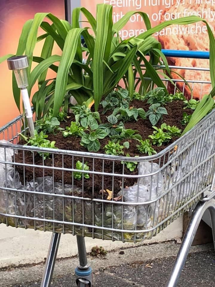 Ashton On Mersey Village Always in Bloom tweet media