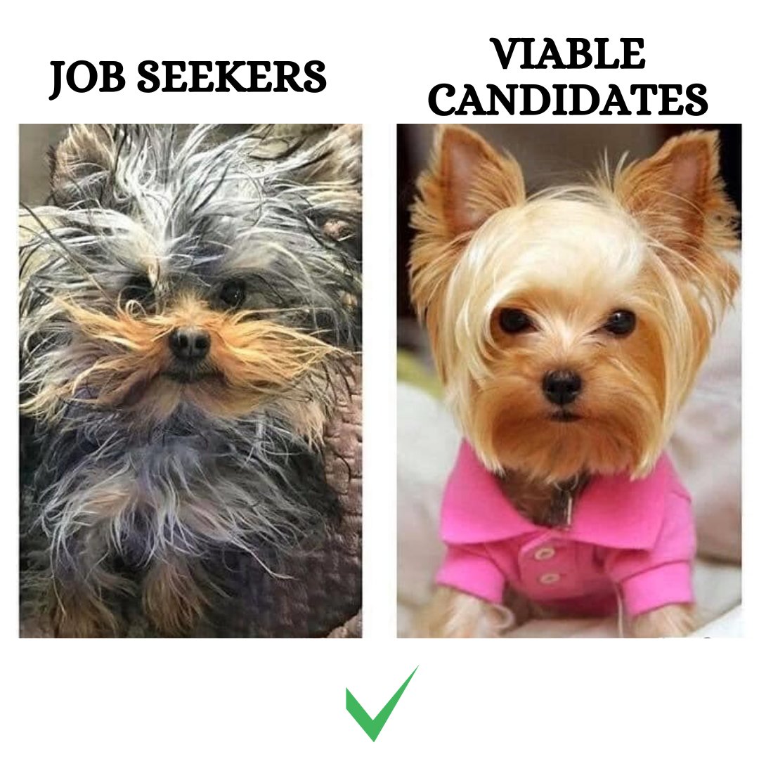 vCandidates.com tweet media