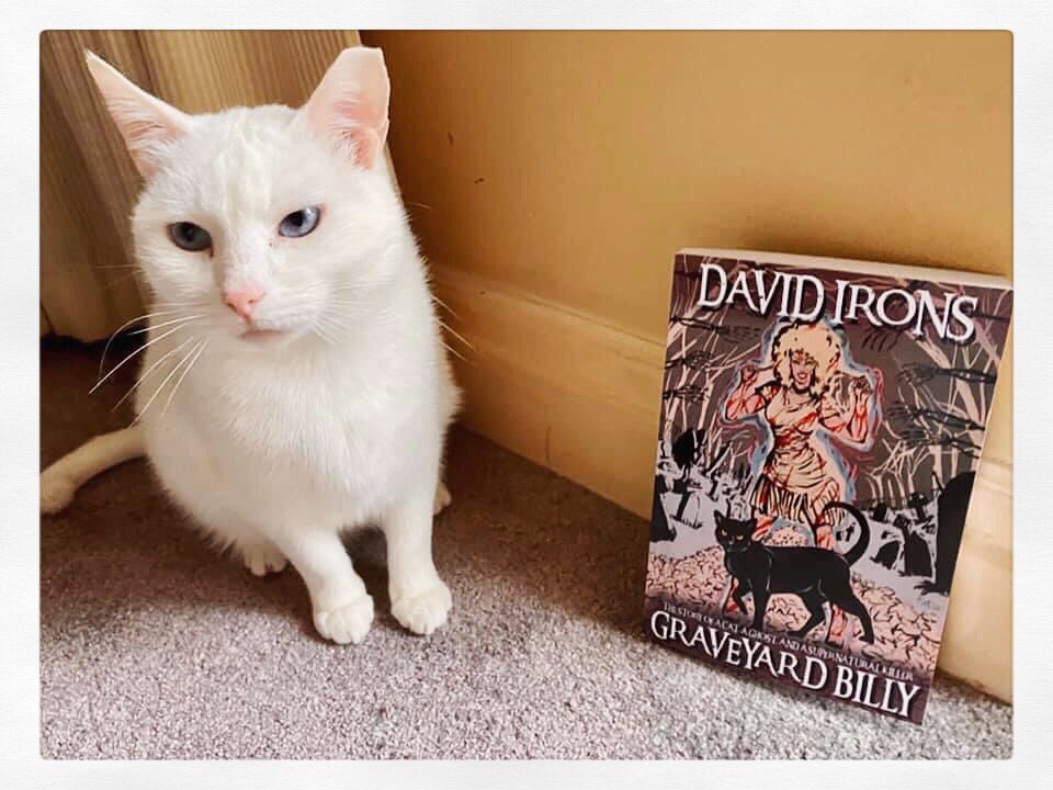 DavidIrons79's tweet photo. This is great! The first picture of one of my readers cats with my novel Graveyard Billy! All proceeds from this novel goes to City Cat Shelter in Brighton UK :) #cats #horror #whitecat #blackcat #bookstagram #bookstagrammer #graveyardbilly #davidironswriter https://t.co/7JtJFwvNTH