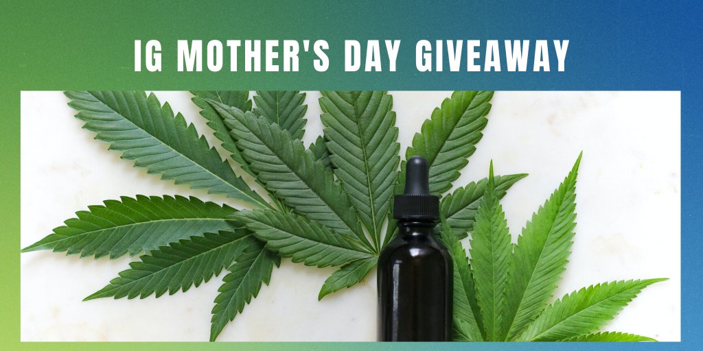 GanjaWest's tweet photo. ‼️ Mother's Day Giveaway Alert‼️ 

WIN a Mother's Day Care Package: 
-OZ of AAAA flower, CBD pills, CBD tincture, 5 bags of edibles 

🔥Head over to IG to enter: https://t.co/ozwP3Di3uP

#MothersDayGiveaway #cannabiscommunity #cbd #highsociety https://t.co/YLUZS4Lupg