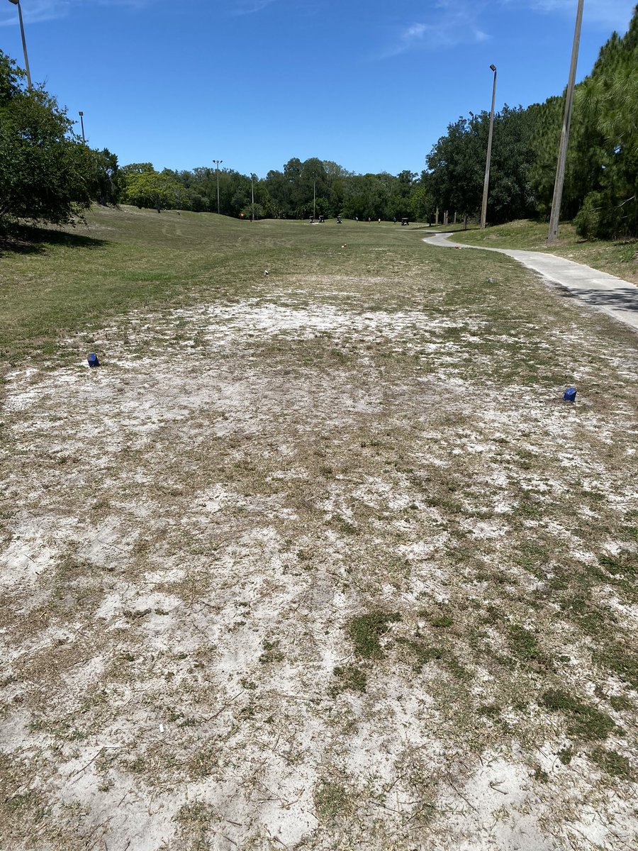 Connor Murphy tweet media