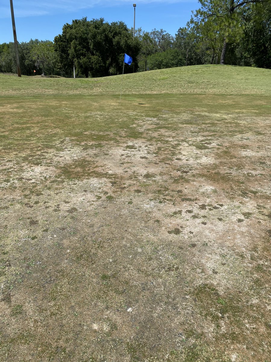 Connor Murphy tweet media