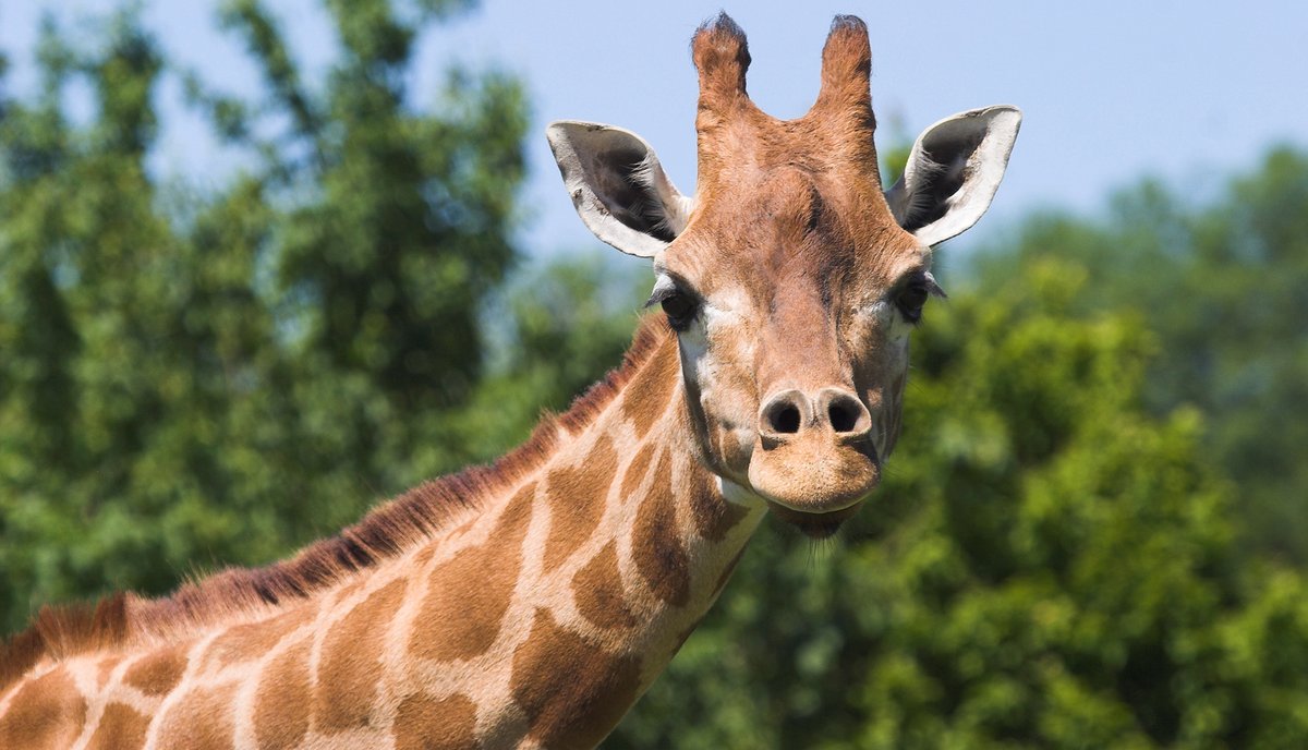 Visit Hampshire (virtually) from the comfort of your own home and enjoy the many attractions, hotels and the places that you love.
visit-hampshire.co.uk/ideas-and-insp…