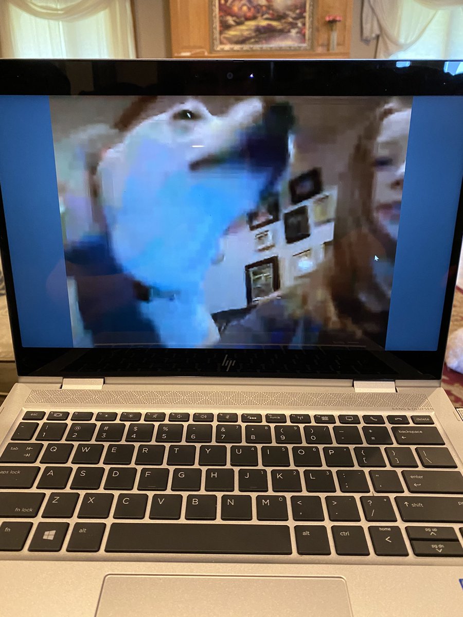 melcederblom's tweet photo. We got to bring our pets to school today thanks to #SPSatHome! Wilson’s Creek 5th grade Lions sure know how to keep learning fun and engaging! I love these kiddos! #cultureandclimate @officialSPS @DrKarynChristy @WilsonsCreekInt https://t.co/BjHGA5tudA