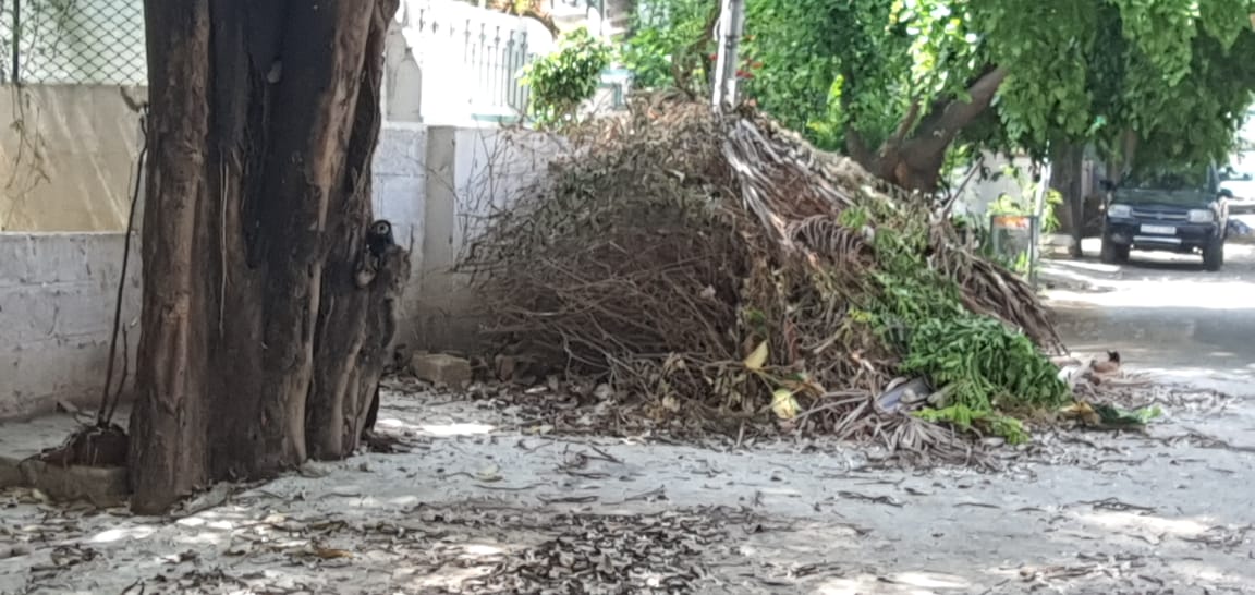 Anileshseth's tweet photo. @thekjgeorge @bbmpcommr request removal located between 412 and 414 on 6th b main, hrbr 2nd block. Repeated requests to health no response. Status quo for weeks.@JudeFerrao https://t.co/ea0P6mXHOa