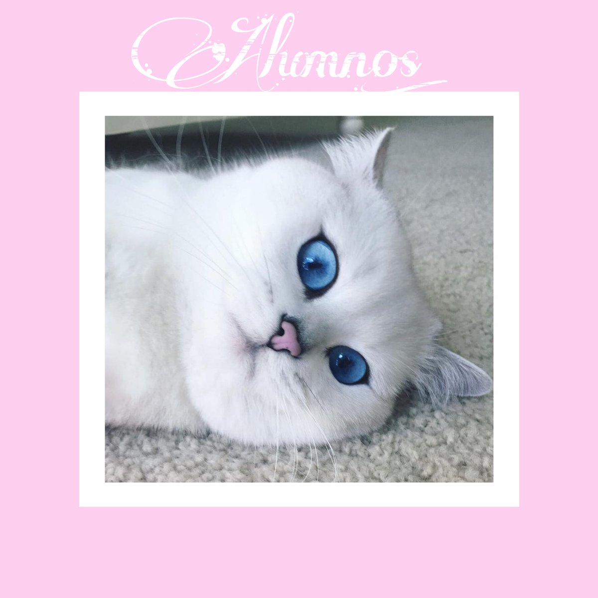 🌺 Quién asista a mis clases que deje por aquí una señal (♥) y se les añadirá a la lista 💕 🌺