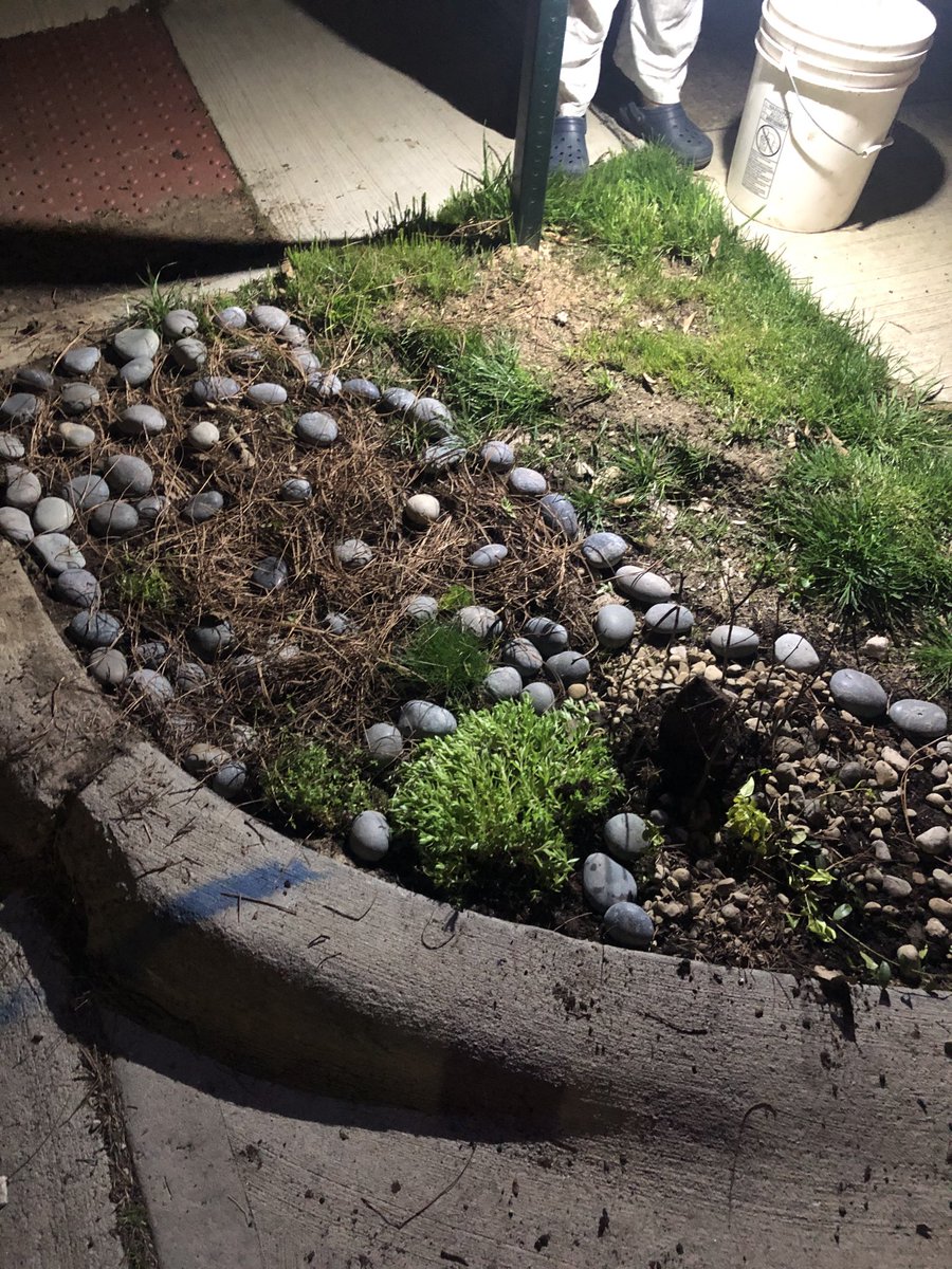 #C4PZCMA creativity challenge to make a restorative repair. Here is our curbside pop up fairy garden ⁦<a href="/BexleyMontrose/">Montrose Elementary</a>⁩ ⁦@bexley_art⁩ #guerillagardening