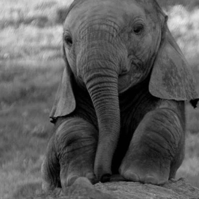 Adorable #cute #nature → instagram.com/p/B_49XHoALsR/