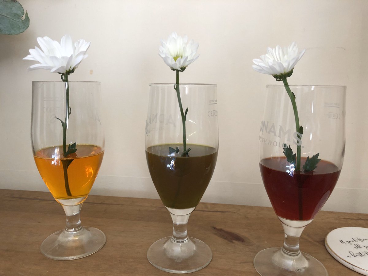 Webbwood1's tweet photo. Flower experiment on the go 
@AlbertPyeRavens @Jennife64974704 https://t.co/Vzl7qKae0j
