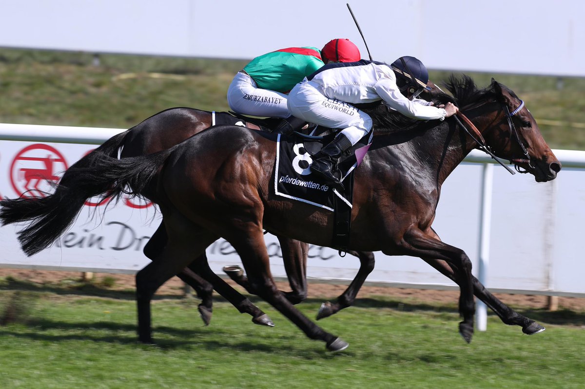 sebastianjweiss's tweet photo. Irish Nanallac Stud bred 4yr old #CanfordCliffs daughter Jin Jin remains her unbeaten record in Hannover Listed race (1600m) beating @TeamValor hot favorite #Axana (#SoldierHollow) by a nose. Third Nica (#Kamsin). https://t.co/50VA80ykDJ