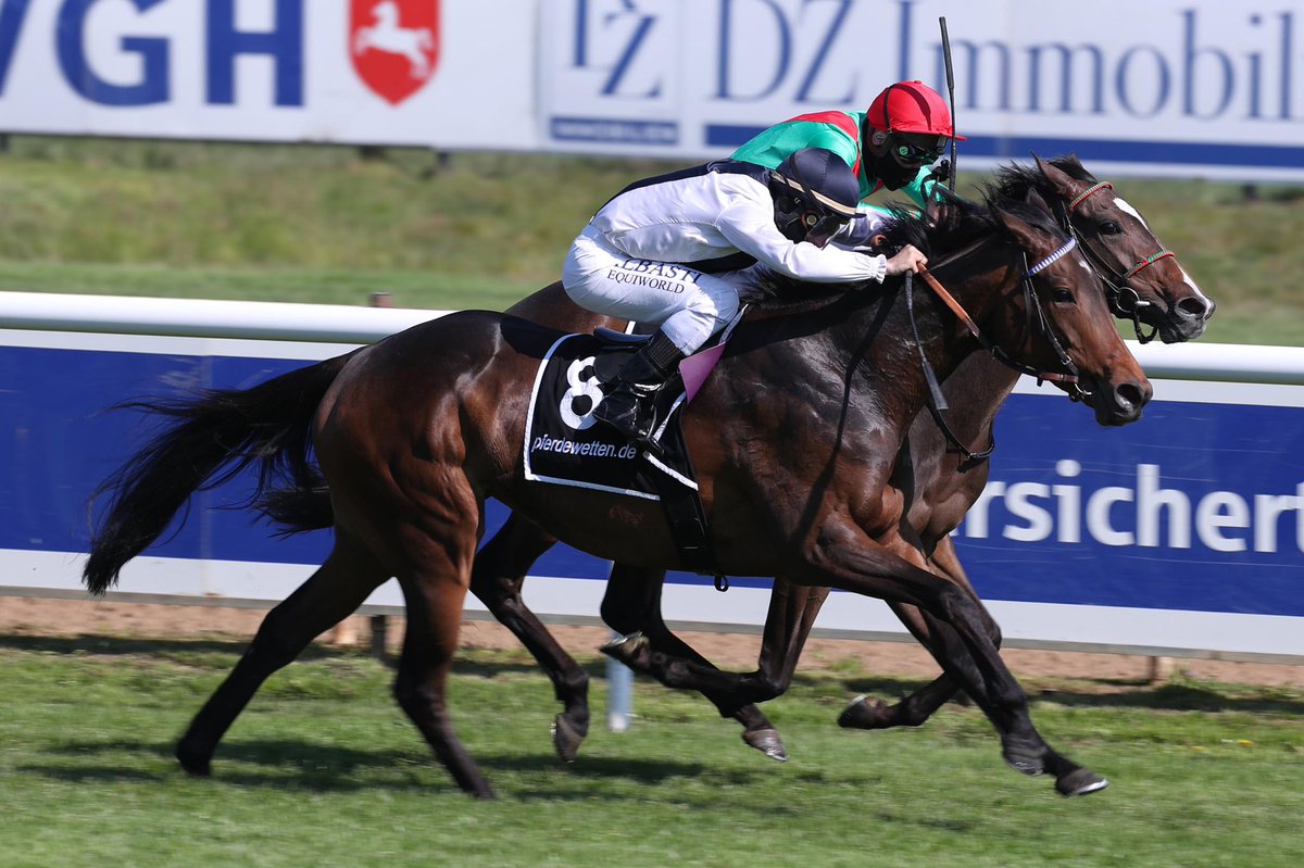 sebastianjweiss's tweet photo. Irish Nanallac Stud bred 4yr old #CanfordCliffs daughter Jin Jin remains her unbeaten record in Hannover Listed race (1600m) beating @TeamValor hot favorite #Axana (#SoldierHollow) by a nose. Third Nica (#Kamsin). https://t.co/50VA80ykDJ