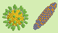 DISCUS_program's tweet image. It&apos;s time to get started on modelling some nanoparticles:
youtube.com/channel/UC6nA4…
Who can make a nice hedgehog? 
#nanoparticles