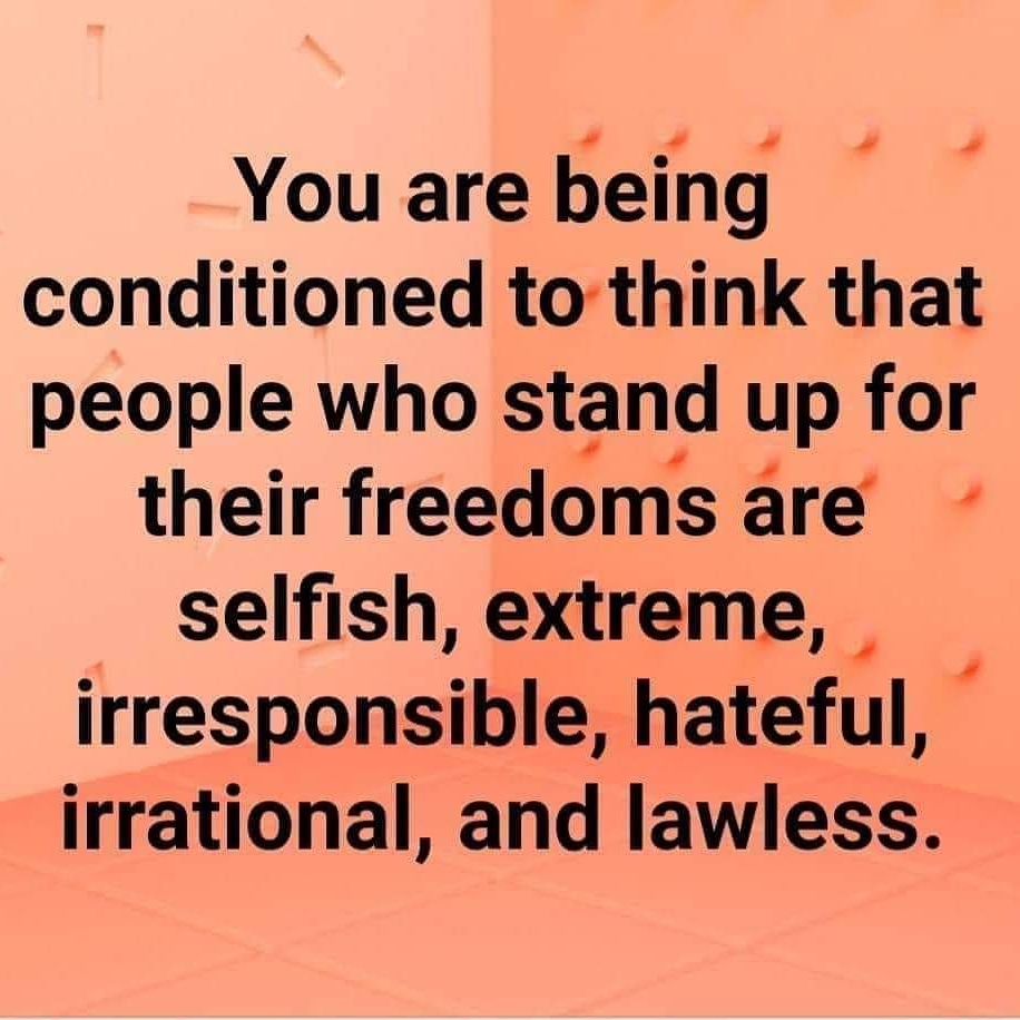 SanTanValleyRC's tweet photo. #fearmongering #fearporn #libertyordeath #COVID1984 #coronagate #endtheshutdown #mediafear #mediahoax #freedomoverfear #WWG1WGA #Qanon #QArmy #QPatriot https://t.co/wJAckwcWAy