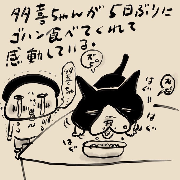 お利口な多喜ちゃん❤︎ 