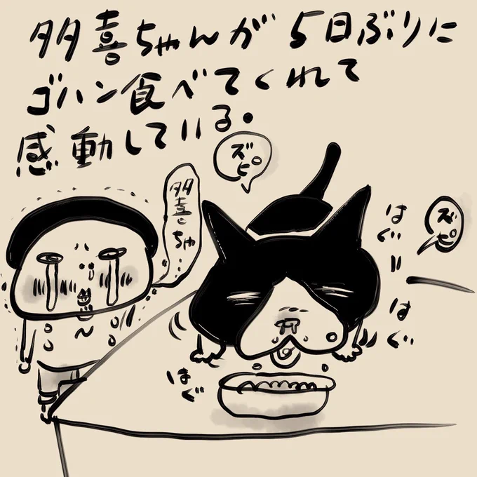 お利口な多喜ちゃん❤︎ 