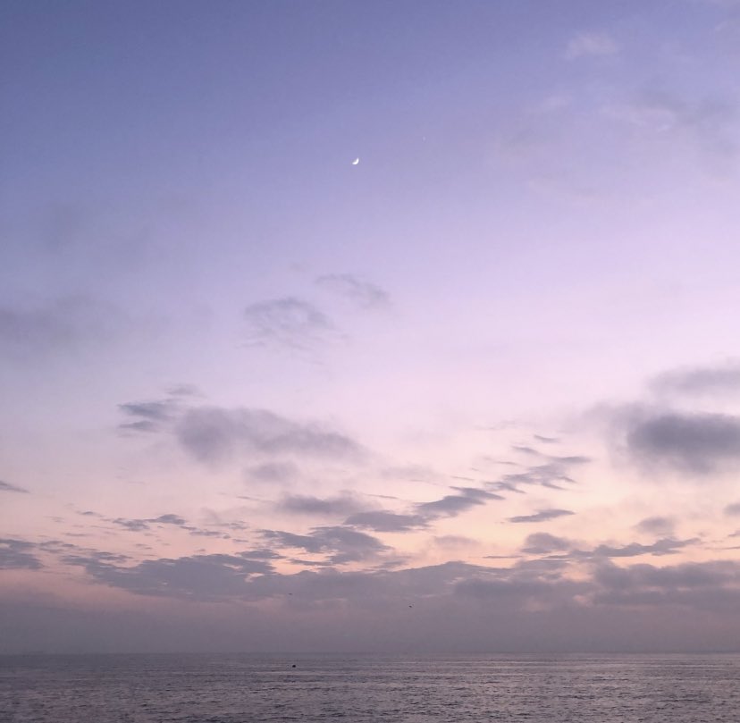pradasunset's tweet photo. lilac waves https://t.co/8mIr7t0rm6