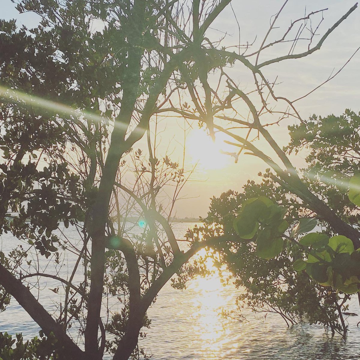 Collins077's tweet photo. Fresh air really does soothe the soul, I set out to do only 3 miles........but enjoying the scenery we did 7 miles🏃🏽♀️. #SDPBCScience #getoutside #ScienceMatters @pbscience4u @Diana__Snider @DianaFedderman @evacwynar @CrissyTab https://t.co/egfGyqiFnH