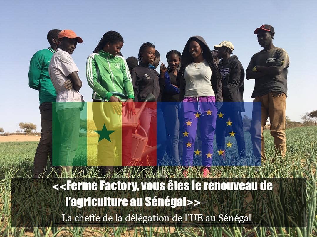 IMingassonUE's tweet image. 👏Bravo Chers Jeunes de @fermefactory  ! Je vous remercie pour ce moment de partage qui a permis d’avoir des échanges à la fois riches, ouverts et intéressants. #niofar #tekkifii #PowerOfYouth @Macky_Sall @FranceoSenegal @MinisteredelaS1 @TekkiFii @Anidagriculture @MoussaBaldePCD